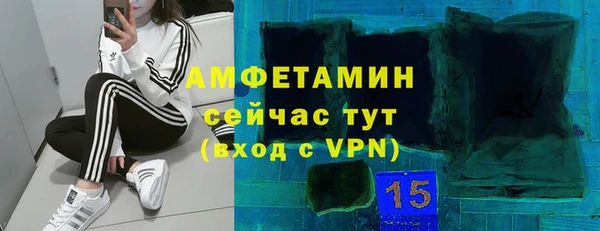 прущие грибы Зеленокумск