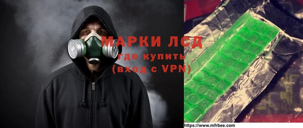 прущие грибы Зеленокумск