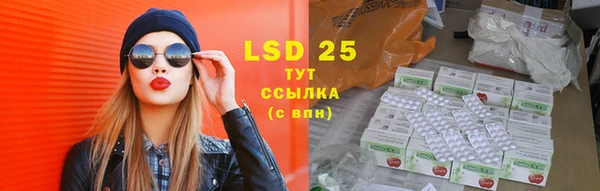 прущие грибы Зеленокумск