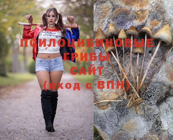 прущие грибы Зеленокумск
