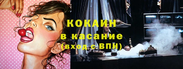 прущие грибы Зеленокумск