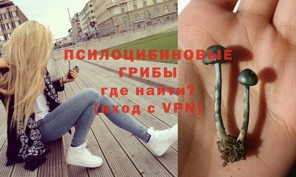 трава Зеленодольск