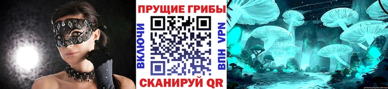 Купить где  Разумное  Галлюциногенные грибы MAGIC MUSHROOMS 